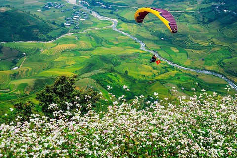 Bay trên mùa vàng 2019 - Festival dù lượn được mong chờ sắp diễn ra - Ảnh 2. Bay trên mùa vàng 2019 - Festival dù lượn được mong chờ sắp diễn ra - Ảnh 2.