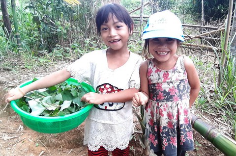 Cô giáo Tắk Pổ: Đi hái rau rừng với cô nào!, học trò đồng thanh: Dạ - Ảnh 2. Cô giáo Tắk Pổ: Đi hái rau rừng với cô nào!, học trò đồng thanh: Dạ - Ảnh 2.