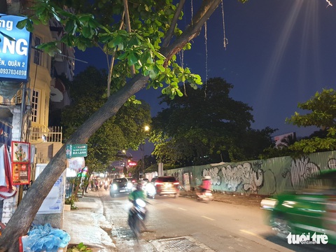 Vướng cây nghiêng, nguyên nhà vệ sinh di động rơi xuống đường - Ảnh 2. Vướng cây nghiêng, nguyên nhà vệ sinh di động rơi xuống đường - Ảnh 2.
