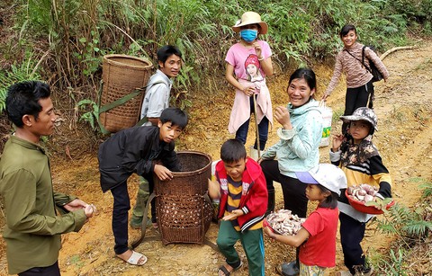 Mùa đi săn nấm, hái lộc trời - Ảnh 3. Mùa đi săn nấm, hái lộc trời - Ảnh 3.