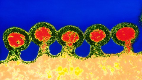 Các nhà khoa học Trung Quốc chỉnh sửa gen chữa HIV, ung thư máu - Ảnh 1. Các nhà khoa học Trung Quốc chỉnh sửa gen chữa HIV, ung thư máu - Ảnh 1.