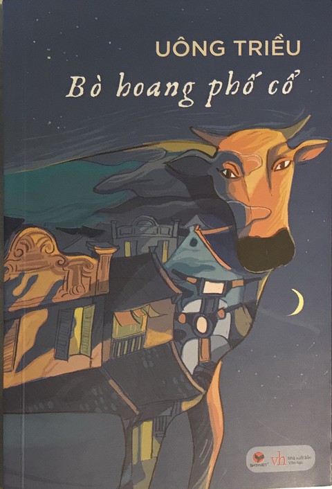 Bò hoang phố cổ: lịch sử đồng hiện - Ảnh 1. Bò hoang phố cổ: lịch sử đồng hiện - Ảnh 1.
