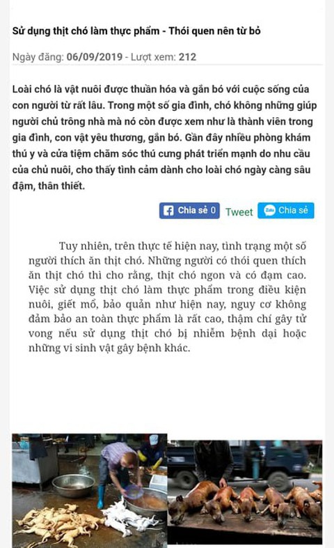 TP.HCM khuyên dân bỏ ăn thịt chó - Ảnh 1. TP.HCM khuyên dân bỏ ăn thịt chó - Ảnh 1.