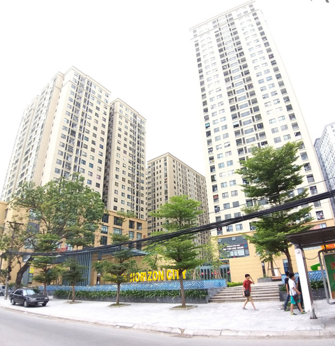 Thả gia súc, gia cầm trong khu chung cư sẽ bị phạt hành chính - Ảnh 1.