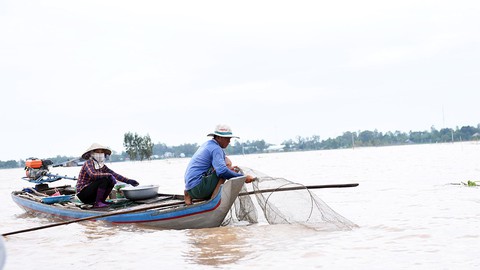 Lũ về trễ, thưa thớt cá tôm - Ảnh 9. Lũ về trễ, thưa thớt cá tôm - Ảnh 9.