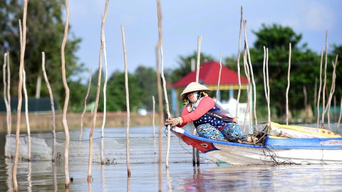 Lũ về trễ, thưa thớt cá tôm - Ảnh 1. Lũ về trễ, thưa thớt cá tôm - Ảnh 1.