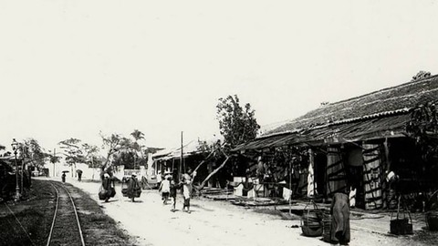 Bảo tồn di sản: nuôi gà đẻ trứng vàng - Ảnh 1. Bảo tồn di sản: nuôi gà đẻ trứng vàng - Ảnh 1.