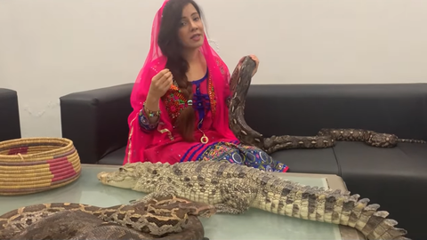 Dọa đưa cá sấu làm thịt thủ tướng Ấn Độ, nữ ca sĩ Pakistan đối mặt án tù 2 năm - Ảnh 1. Dọa đưa cá sấu làm thịt thủ tướng Ấn Độ, nữ ca sĩ Pakistan đối mặt án tù 2 năm - Ảnh 1.