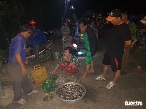 Nước lũ trên sông Tiền đã vượt báo động 1 - Ảnh 2. Nước lũ trên sông Tiền đã vượt báo động 1 - Ảnh 2.
