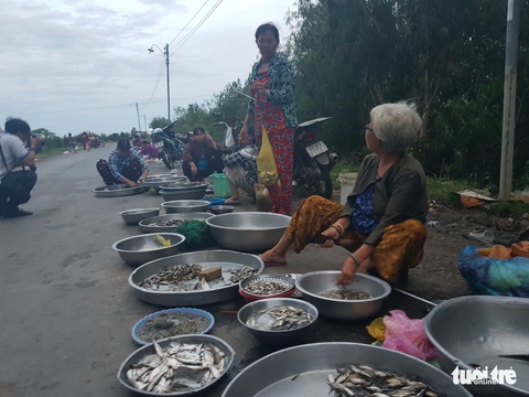 Nước lũ trên sông Tiền đã vượt báo động 1 - Ảnh 3. Nước lũ trên sông Tiền đã vượt báo động 1 - Ảnh 3.