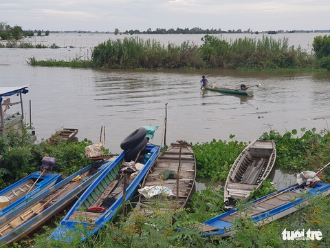 Nước lũ trên sông Tiền đã vượt báo động 1 - Ảnh 1. Nước lũ trên sông Tiền đã vượt báo động 1 - Ảnh 1.