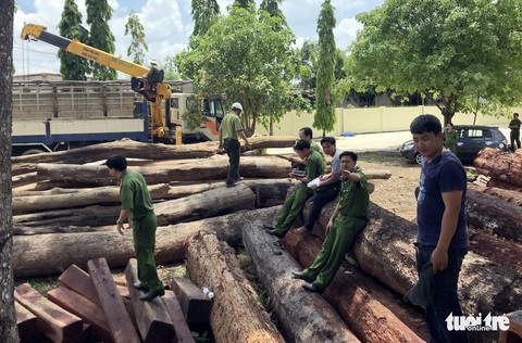 Cán bộ kiểm lâm: Phượng tự bồi dưỡng chứ không sách nhiễu - Ảnh 8. Cán bộ kiểm lâm: Phượng tự bồi dưỡng chứ không sách nhiễu - Ảnh 8.
