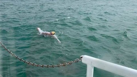Mới lành ung thư, bơi suốt hơn 2 ngày không ngừng nghỉ - Ảnh 3. Mới lành ung thư, bơi suốt hơn 2 ngày không ngừng nghỉ - Ảnh 3.