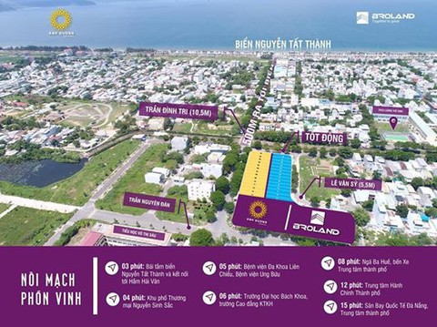 Rao bán đất quy hoạch thành đất phân lô trên Facebook, bị phạt 10 triệu - Ảnh 2.