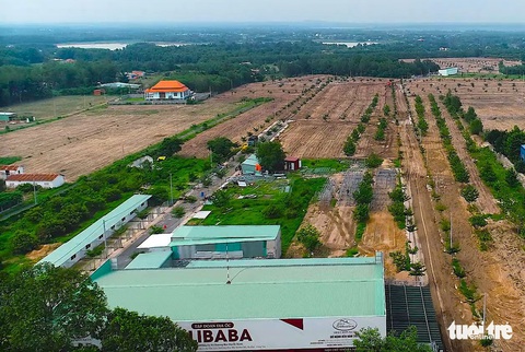 Chủ tịch và giám đốc Alibaba bị bắt, người mua ngồi trên đống lửa - Ảnh 2. Chủ tịch và giám đốc Alibaba bị bắt, người mua ngồi trên đống lửa - Ảnh 2.