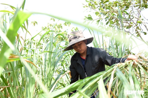 Đến trường với bộ đồng phục cũ của anh trai - Ảnh 1. Đến trường với bộ đồng phục cũ của anh trai - Ảnh 1.