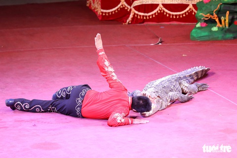 Xem nàng tiên cá trượt... patin, uốn dẻo - Ảnh 8. Xem nàng tiên cá trượt... patin, uốn dẻo - Ảnh 8.