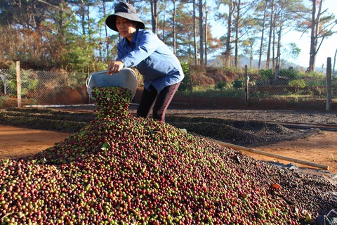 GDP bình quân tăng vọt lên 3.000 USD, vì sao? - Ảnh 1. GDP bình quân tăng vọt lên 3.000 USD, vì sao? - Ảnh 1.