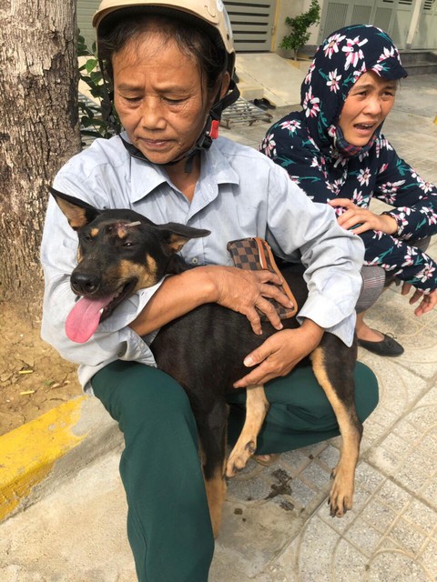 Liên minh bảo vệ chó châu Á chăm sóc đàn chó tạm giữ ở Công an Thanh Hóa - Ảnh 3. Liên minh bảo vệ chó châu Á chăm sóc đàn chó tạm giữ ở Công an Thanh Hóa - Ảnh 3.