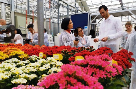 Làm vườn bằng nhà kính kiểu Hà Lan - Ảnh 1. Làm vườn bằng nhà kính kiểu Hà Lan - Ảnh 1.