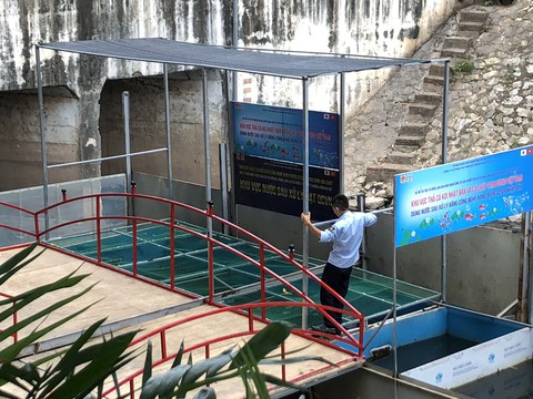 Cá Koi sông Tô Lịch có bảo vệ trông coi cả ngày lẫn đêm - Ảnh 3. Cá Koi sông Tô Lịch có bảo vệ trông coi cả ngày lẫn đêm - Ảnh 3.