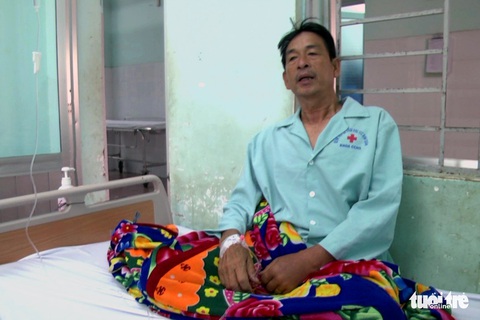 Đàn ong vò vẽ tấn công khiến người đi đường phải cấp cứu - Ảnh 1. Đàn ong vò vẽ tấn công khiến người đi đường phải cấp cứu - Ảnh 1.