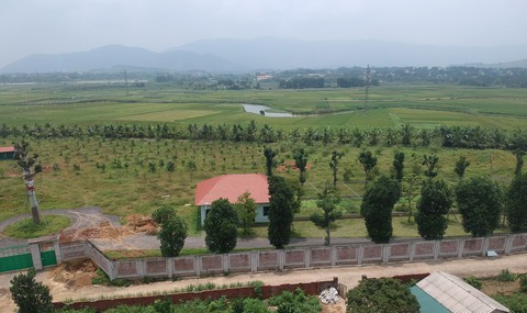 Vụ giao đất cho người nhà: kiểm điểm giám đốc Sở Kế hoạch - đầu tư Hà Nội - Ảnh 1. Vụ giao đất cho người nhà: kiểm điểm giám đốc Sở Kế hoạch - đầu tư Hà Nội - Ảnh 1.