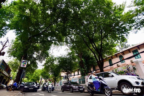 Quận 3, TP.HCM vào top khu phố tuyệt vời nhất thế giới, vì sao? - Ảnh 1. Quận 3, TP.HCM vào top khu phố tuyệt vời nhất thế giới, vì sao? - Ảnh 1.