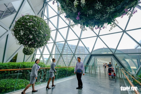 Lạc vào khu rừng bên trong sân bay Changi Singapore - Ảnh 7. Lạc vào khu rừng bên trong sân bay Changi Singapore - Ảnh 7.