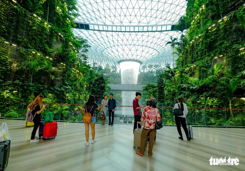 Lạc vào khu rừng bên trong sân bay Changi Singapore - Ảnh 5. Lạc vào khu rừng bên trong sân bay Changi Singapore - Ảnh 5.