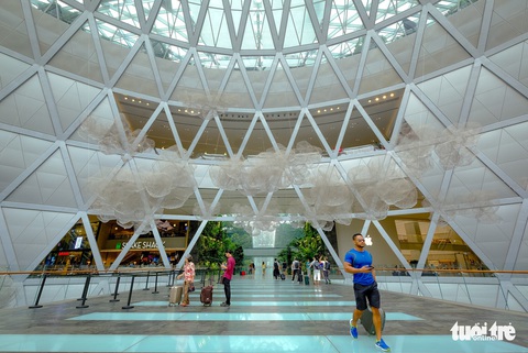 Lạc vào khu rừng bên trong sân bay Changi Singapore - Ảnh 10. Lạc vào khu rừng bên trong sân bay Changi Singapore - Ảnh 10.