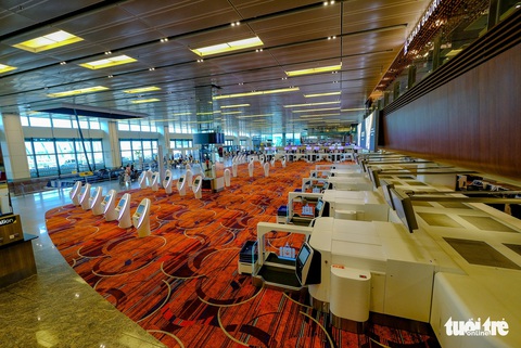 Lạc vào khu rừng bên trong sân bay Changi Singapore - Ảnh 13. Lạc vào khu rừng bên trong sân bay Changi Singapore - Ảnh 13.