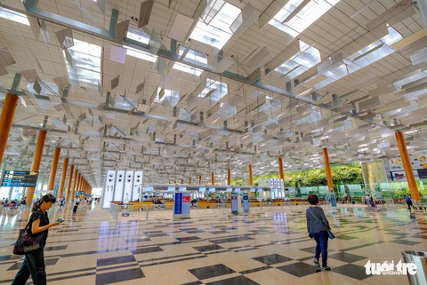 Lạc vào khu rừng bên trong sân bay Changi Singapore - Ảnh 9. Lạc vào khu rừng bên trong sân bay Changi Singapore - Ảnh 9.