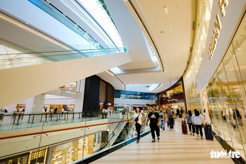 Lạc vào khu rừng bên trong sân bay Changi Singapore - Ảnh 11. Lạc vào khu rừng bên trong sân bay Changi Singapore - Ảnh 11.