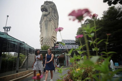 Tượng sư tử biển ở Singapore sẽ bị dỡ bỏ - Ảnh 1. Tượng sư tử biển ở Singapore sẽ bị dỡ bỏ - Ảnh 1.
