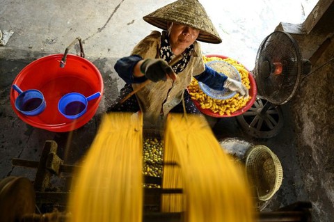 Làng tơ trăm năm ở Nam Định lên AFP - Ảnh 1. Làng tơ trăm năm ở Nam Định lên AFP - Ảnh 1.