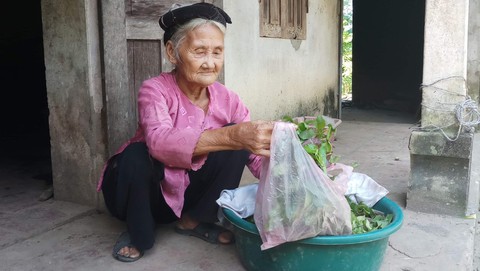 Cụ bà 83 tuổi có 11 người con, tự đạp xe lên xã xin… thoát nghèo - Ảnh 1. Cụ bà 83 tuổi có 11 người con, tự đạp xe lên xã xin… thoát nghèo - Ảnh 1.