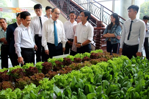Cần giải pháp giải quyết khó khăn cho các hợp tác xã trước tháng 12-2019 - Ảnh 1. Cần giải pháp giải quyết khó khăn cho các hợp tác xã trước tháng 12-2019 - Ảnh 1.