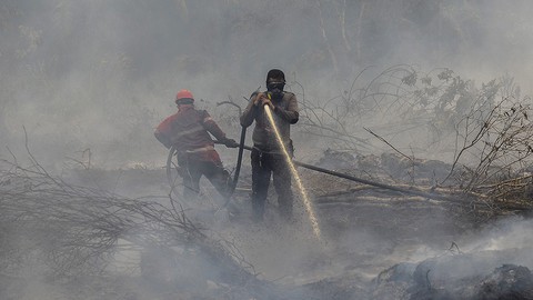 Cháy rừng: Indonesia mất bò 2 lần mới lo làm chuồng? - Ảnh 1. Cháy rừng: Indonesia mất bò 2 lần mới lo làm chuồng? - Ảnh 1.
