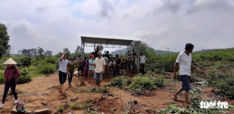Hàng nghìn cây keo bị nhổ trơ gốc, chính quyền xã nói do nhầm tên - Ảnh 5. Hàng nghìn cây keo bị nhổ trơ gốc, chính quyền xã nói do nhầm tên - Ảnh 5.