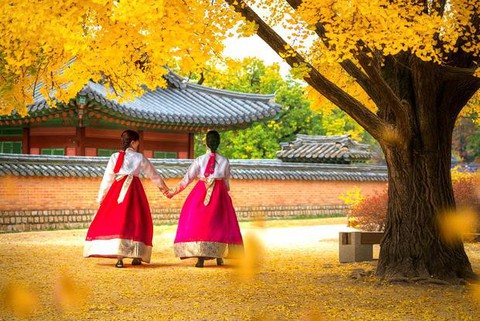 Ưu đãi 40% giá tour chào mừng Ngày Phụ nữ 20-10 - Ảnh 4. Ưu đãi 40% giá tour chào mừng Ngày Phụ nữ 20-10 - Ảnh 4.