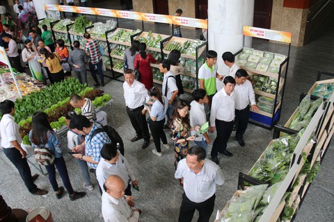 Cần giải pháp giải quyết khó khăn cho các hợp tác xã trước tháng 12-2019 - Ảnh 2. Cần giải pháp giải quyết khó khăn cho các hợp tác xã trước tháng 12-2019 - Ảnh 2.