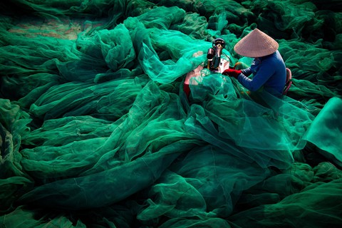 Thông điệp đáng lo sau bức ảnh Việt Nam tại cuộc thi ảnh môi trường thế giới - Ảnh 1. Thông điệp đáng lo sau bức ảnh Việt Nam tại cuộc thi ảnh môi trường thế giới - Ảnh 1.