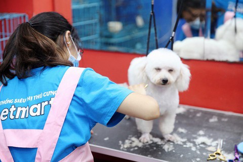 Cửa hàng thú cưng Pet Mart khai trương nhiều chi nhánh tại TP.HCM - Ảnh 4. Cửa hàng thú cưng Pet Mart khai trương nhiều chi nhánh tại TP.HCM - Ảnh 4.