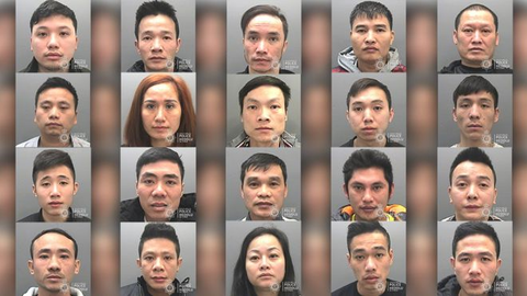 Anh tuyên án nhóm người Việt trồng cần sa trong nhà thu tiền tỉ - Ảnh 1. Anh tuyên án nhóm người Việt trồng cần sa trong nhà thu tiền tỉ - Ảnh 1.
