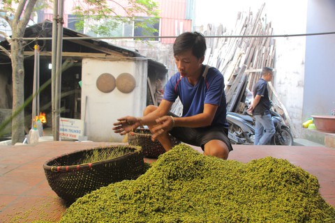 Mẹ truyền con nối giữ gìn tiếng tăm hương cốm làng Vòng - Ảnh 6. Mẹ truyền con nối giữ gìn tiếng tăm hương cốm làng Vòng - Ảnh 6.