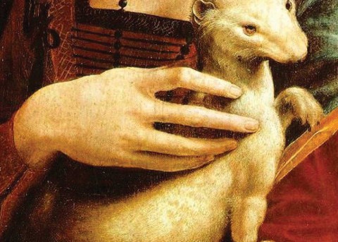 Mật mã Da Vinci trong bức tranh Quý cô và con chồn - Ảnh 4. Mật mã Da Vinci trong bức tranh Quý cô và con chồn - Ảnh 4.
