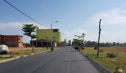 Đà Nẵng lần đầu tiên công khai quỹ đất - Ảnh 1. Đà Nẵng lần đầu tiên công khai quỹ đất - Ảnh 1.