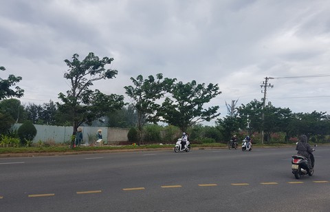 Đà Nẵng: Nhùng nhằng thu hồi đất để làm công viên - Ảnh 1. Đà Nẵng: Nhùng nhằng thu hồi đất để làm công viên - Ảnh 1.