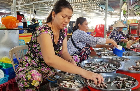 Cá linh lên Sài Gòn, giá gần gấp đôi - Ảnh 1. Cá linh lên Sài Gòn, giá gần gấp đôi - Ảnh 1.